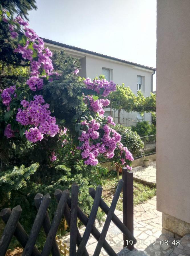 Apartman Vivian Pula Exterior foto